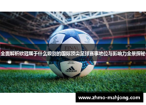 全面解析欧冠属于什么级别的国际顶尖足球赛事地位与影响力全景探秘