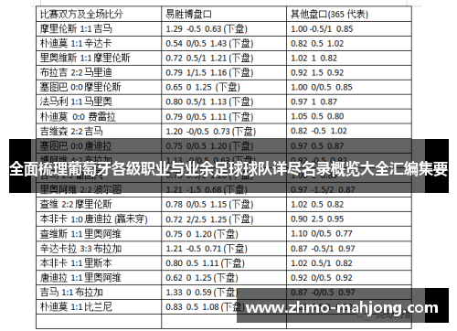全面梳理葡萄牙各级职业与业余足球球队详尽名录概览大全汇编集要