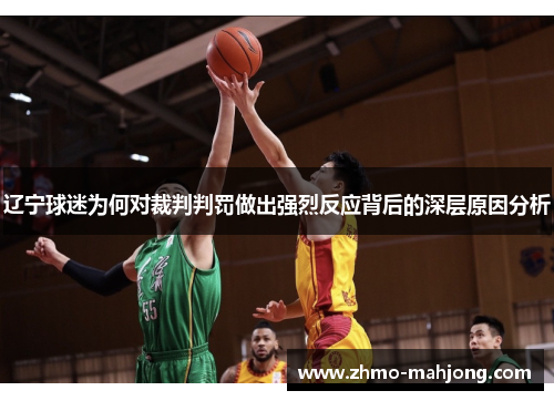 辽宁球迷为何对裁判判罚做出强烈反应背后的深层原因分析